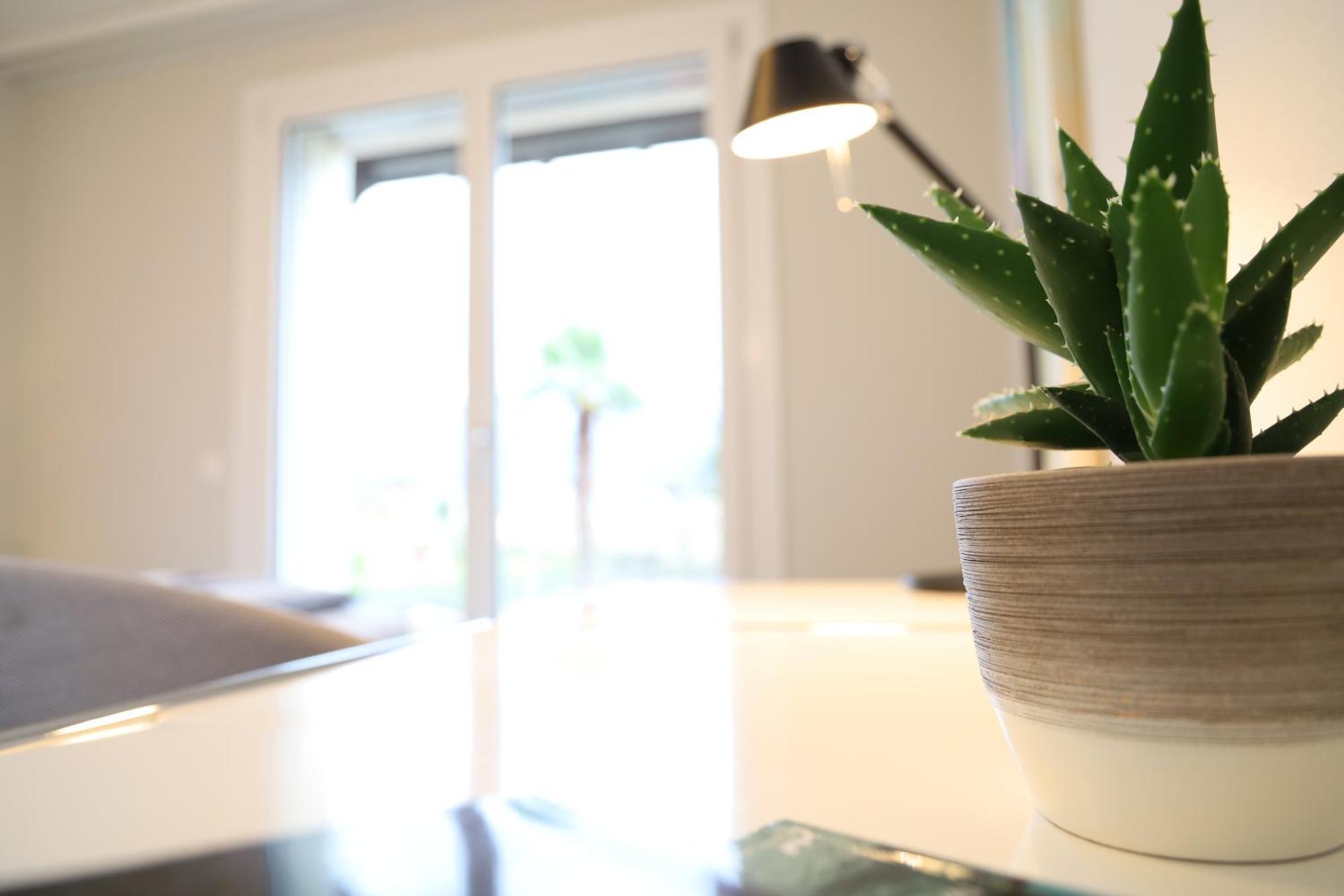 Casa Quattro Fiumi Lejlighed Tegna Eksteriør billede